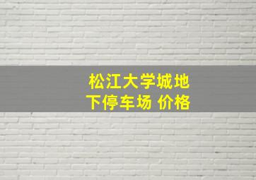 松江大学城地下停车场 价格